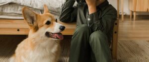 how to move wth pets