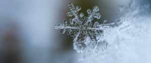 moving in winter