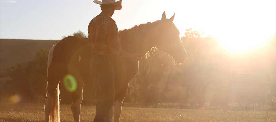 Wyoming cowboys