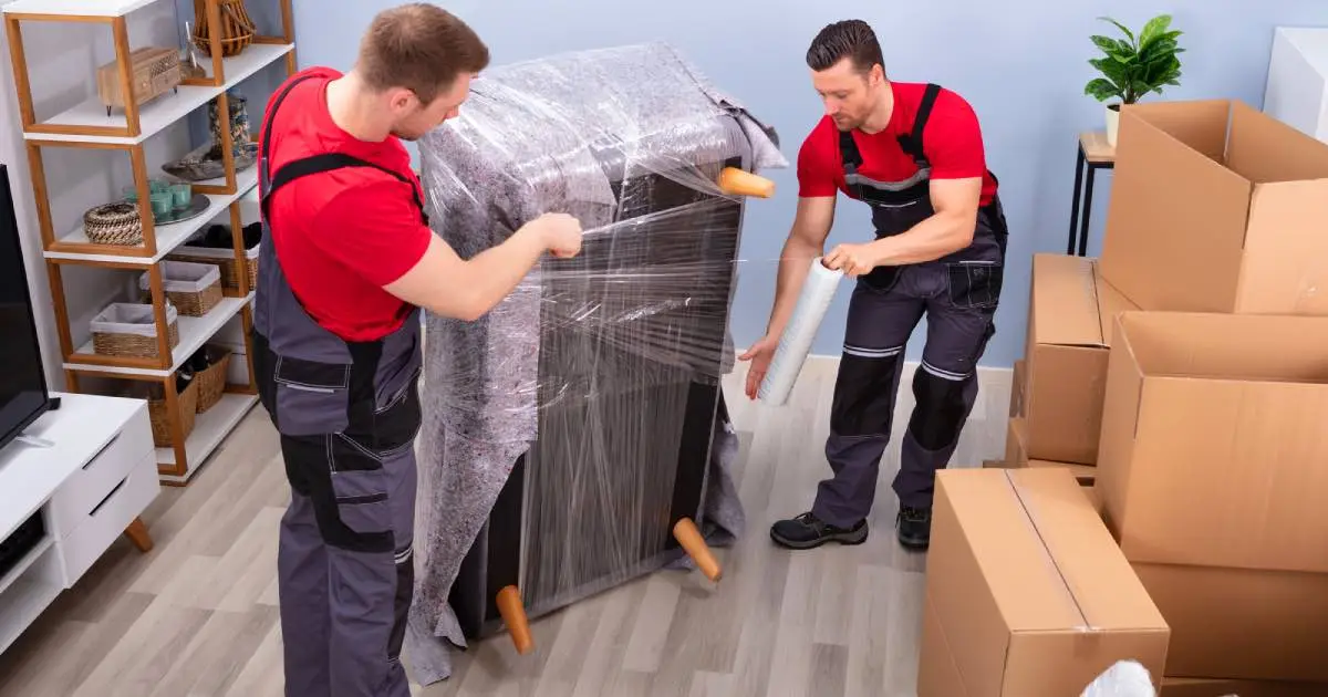 professional moving companies